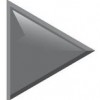 Continuum Advisory Group