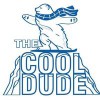 The Cool Dude Air Conditioning