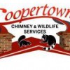 Coopertown Chimney & Wildlife Services