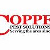 Coppes Pest Management