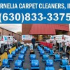 Cornelia Downers Grove Carpet