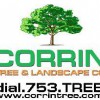 Corrin Tree & Landscape