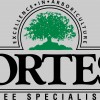 Cortese Tree Specialists