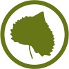 Cottonwood Institute