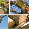 Crestwood Tree Care & Tree Service
