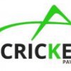 Cricket Pavers