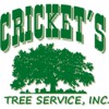 Cricket's Tree Service