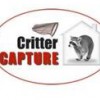 Critter Capture