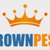 Crown Pest