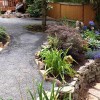 C & T Landscape Maintenance