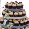 Cupcaketree. Com