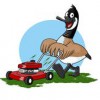 Currituck Lawn Care