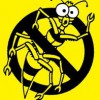 DO IT Yourself Pest