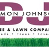Damon Johnson Custom Pools & Landscaping