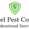 Daniel Pest Control & Professional Services