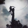 All Around Tree Service