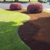 Danshap Landscaping