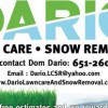 Dario Lawn Care & Snow Removal
