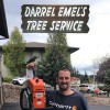 Darrel Emel's Tree Service