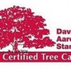 Dave Stang's Certified Tree Care