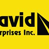 David Enterprises