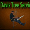 Davis Tree Service