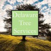 Delaware Tree Services