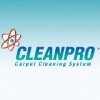 Desert Carpet Cleaning