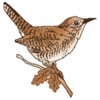 Detroit Society For Genealogical Research