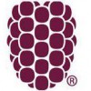 Dewberry-Goodkind