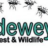 Dewey Pest & Wildlife