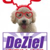 DeZiel Heating & Air Conditioning