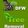 Dfwtreeremoval.com