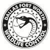 Dallas Fort Worth Wildlife Control