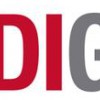 DI Group Architecture