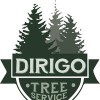 Dirigo Tree Service