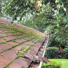DIRTY-ROOF.com