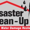 Disaster Cleanup