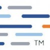 Dispersive Solutions