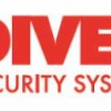 Diverse Security Systems