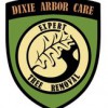 Dixie Arbor Care Expert Tree Removal