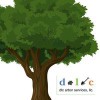 DLC Arbor Services