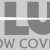 DLUX Window Coverings