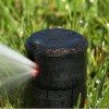 D&M Landscape Maintenance