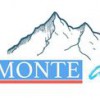 D'monte Air