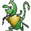 Dr Buggs Exterminators