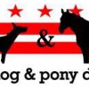 Dog & Pony DC