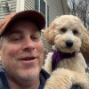 Dogwatch