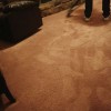 Do-It-All Carpet Cleaning