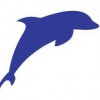Dolphin Environmental Consultants